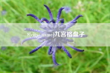 遵义九宫格盘子