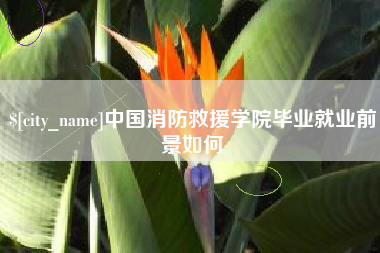 遵义中国消防救援学院毕业就业前景如何