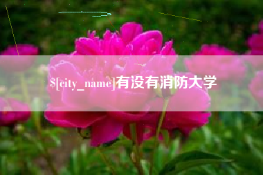 遵义有没有消防大学
