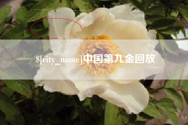 遵义中国第九金回放