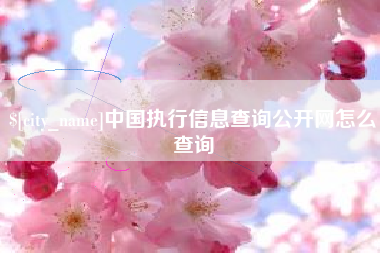 遵义中国执行信息查询公开网怎么查询