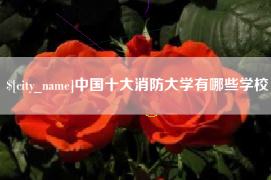 遵义中国十大消防大学有哪些学校