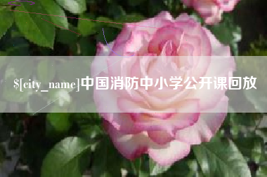 遵义中国消防中小学公开课回放
