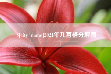 遵义2021年九宫格分解图