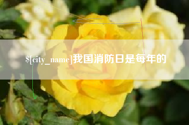 遵义我国消防日是每年的