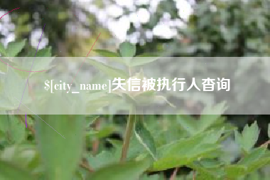 遵义失信被执行人杳询