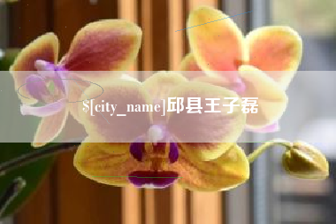 遵义邱县王子磊
