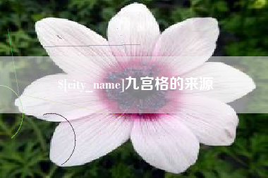 遵义九宫格的来源