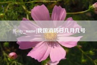 遵义我国消防日几月几号