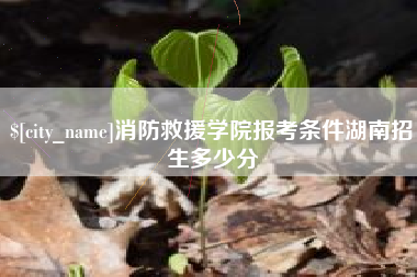 遵义消防救援学院报考条件湖南招生多少分