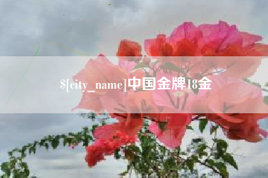 遵义中国金牌18金