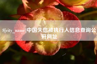 遵义中国失信被执行人信息查询公开网址