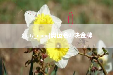 遵义奥运会39块金牌