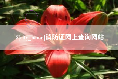 遵义消防证网上查询网站