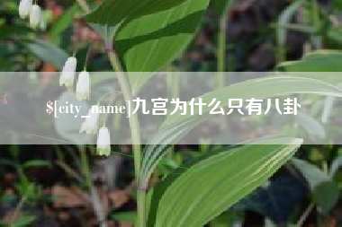 遵义九宫为什么只有八卦
