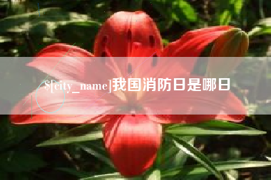 遵义我国消防日是哪日