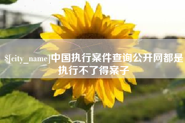 遵义中国执行案件查询公开网都是执行不了得案子
