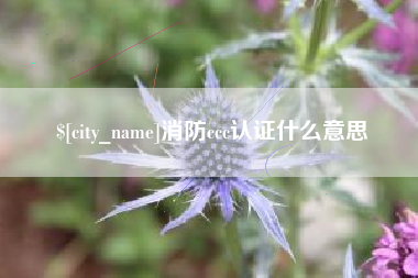 遵义消防ccc认证什么意思