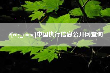 遵义中国执行信息公开网查询