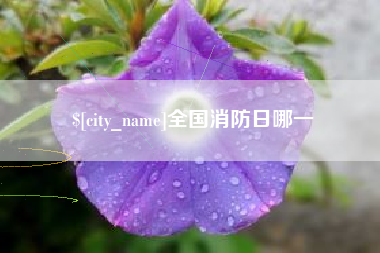遵义全国消防日哪一