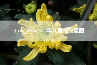 遵义2022年九宫格飞星图
