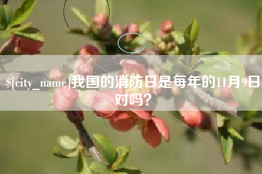 遵义我国的消防日是每年的11月9日对吗？