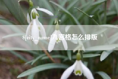 遵义九宫格怎么排版