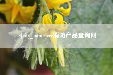 遵义ccc消防产品查询网