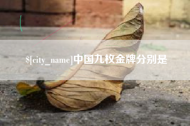 遵义中国九枚金牌分别是