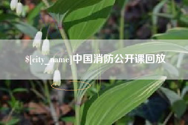 遵义中国消防公开课回放