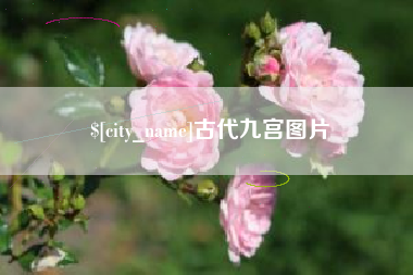 遵义古代九宫图片