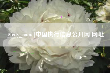 遵义中国执行信息公开网 网址
