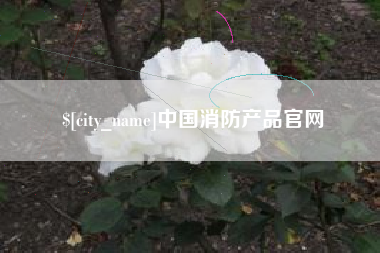 遵义中国消防产品官网