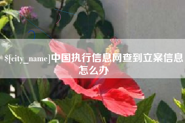 遵义中国执行信息网查到立案信息怎么办