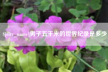 遵义男子五千米的世界纪录是多少