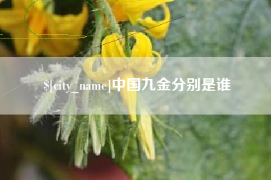 遵义中国九金分别是谁