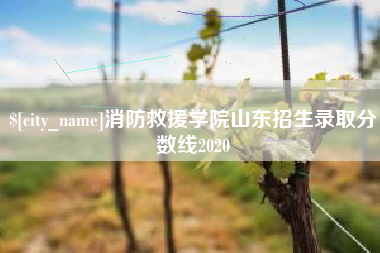 遵义消防救援学院山东招生录取分数线2020