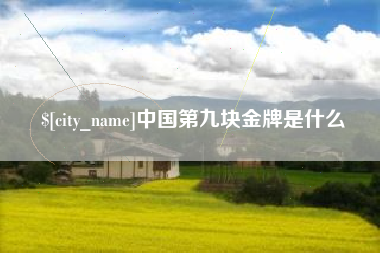 遵义中国第九块金牌是什么