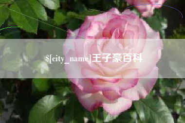 遵义王子豪百科