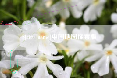 遵义中国地图像素版