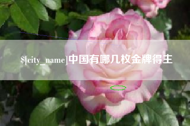遵义中国有哪几枚金牌得主