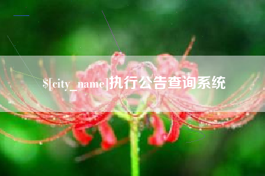 遵义执行公告查询系统
