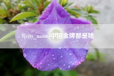 遵义中国金牌都是啥
