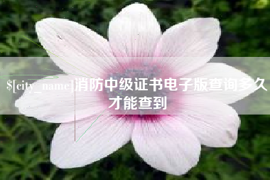 遵义消防中级证书电子版查询多久才能查到
