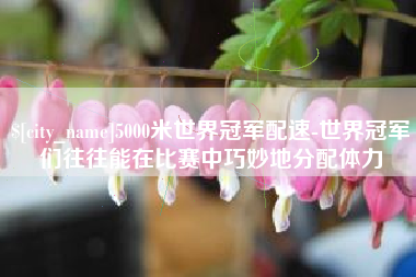 遵义5000米世界冠军配速-世界冠军们往往能在比赛中巧妙地分配体力