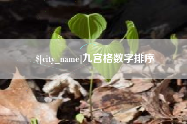 遵义九宫格数字排序