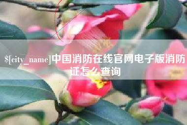 遵义中国消防在线官网电子版消防证怎么查询