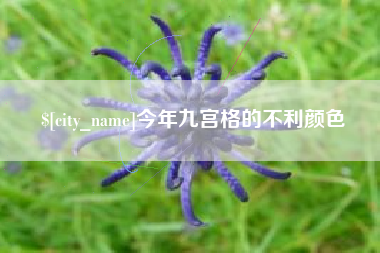 遵义今年九宫格的不利颜色