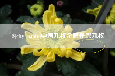 遵义中国九枚金牌是哪九枚