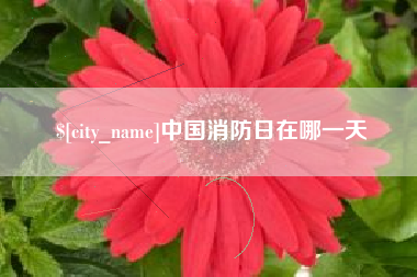 遵义中国消防日在哪一天